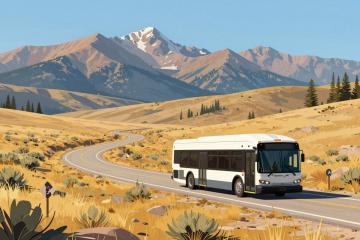 Illustrative header image for Public Transport