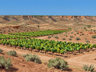 AI-generated illustration of Grand Junction Wine Trail