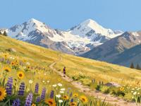 Colorado’s Best Wildflower Trails