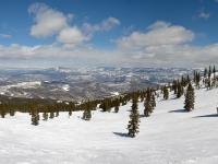 Pitkin County