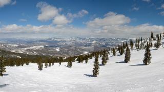 Pitkin County