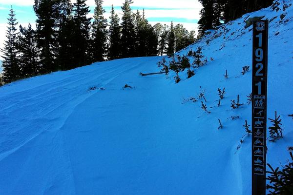 Squaw Pass Trail