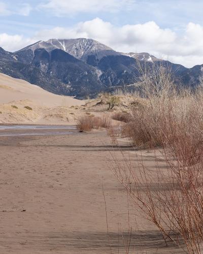 A landscape photograph showing a sandy riverbed with a stream, dry brush in the foreground, large sand dunes on the left, and a snow-capped mountain range in the background.