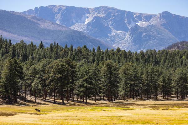 Rocky Mountain National Park