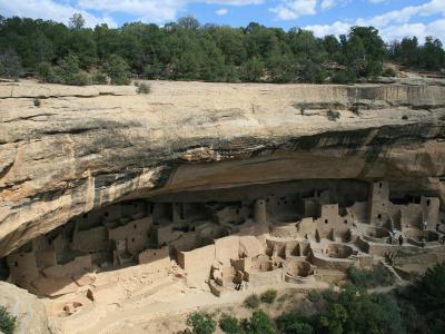 Cliff Palace, the largest cliff dwelling in Mesa Verde National Park, beneath its sandstone alcove