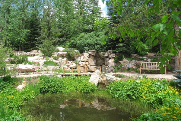 Betty Ford Alpine Gardens