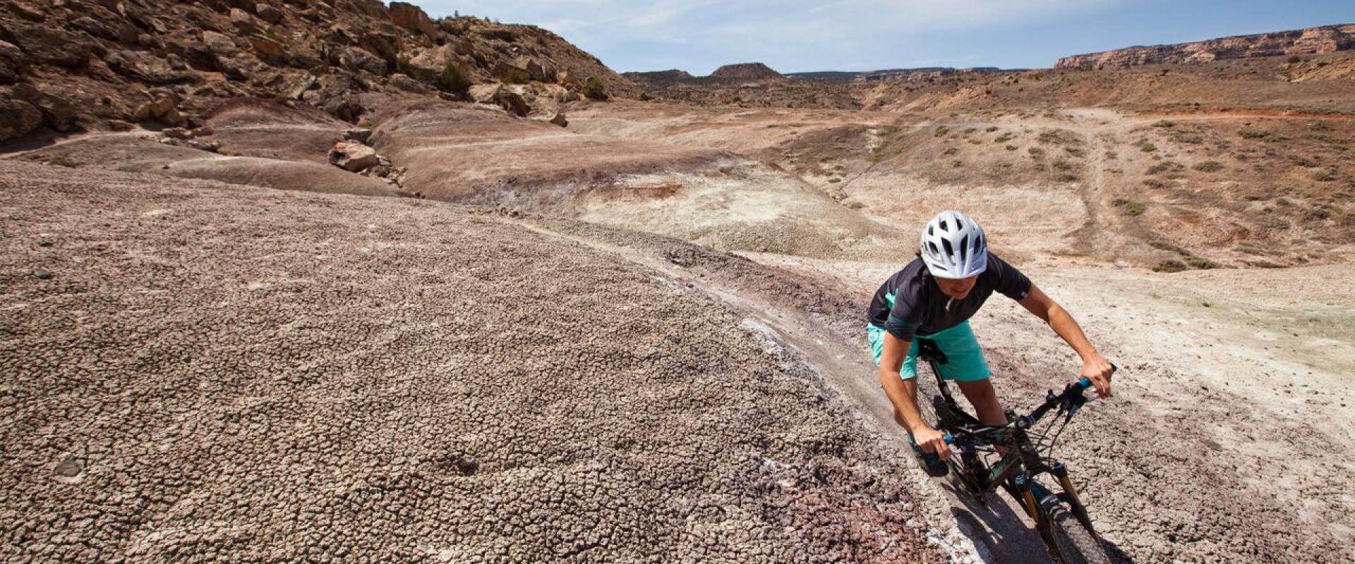 The Ultimate Guide to Colorado’s Best Bike Trails for Families