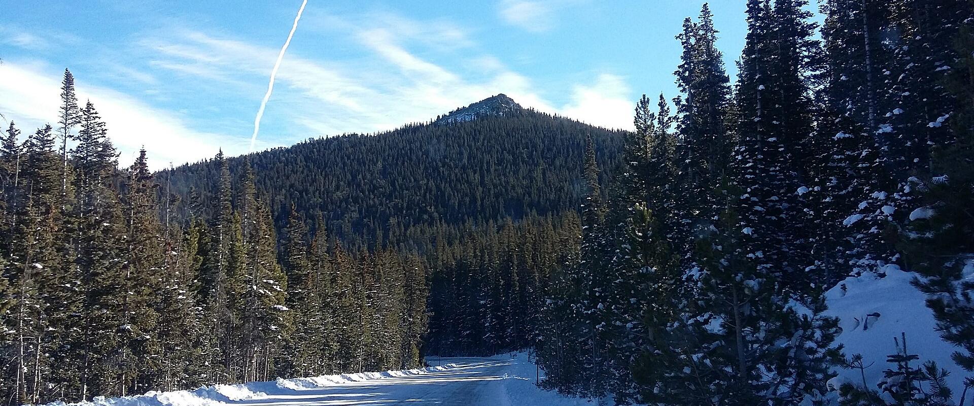 Snowy forest road in the Colorado Rockies