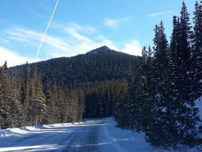 Snowy forest road in the Colorado Rockies