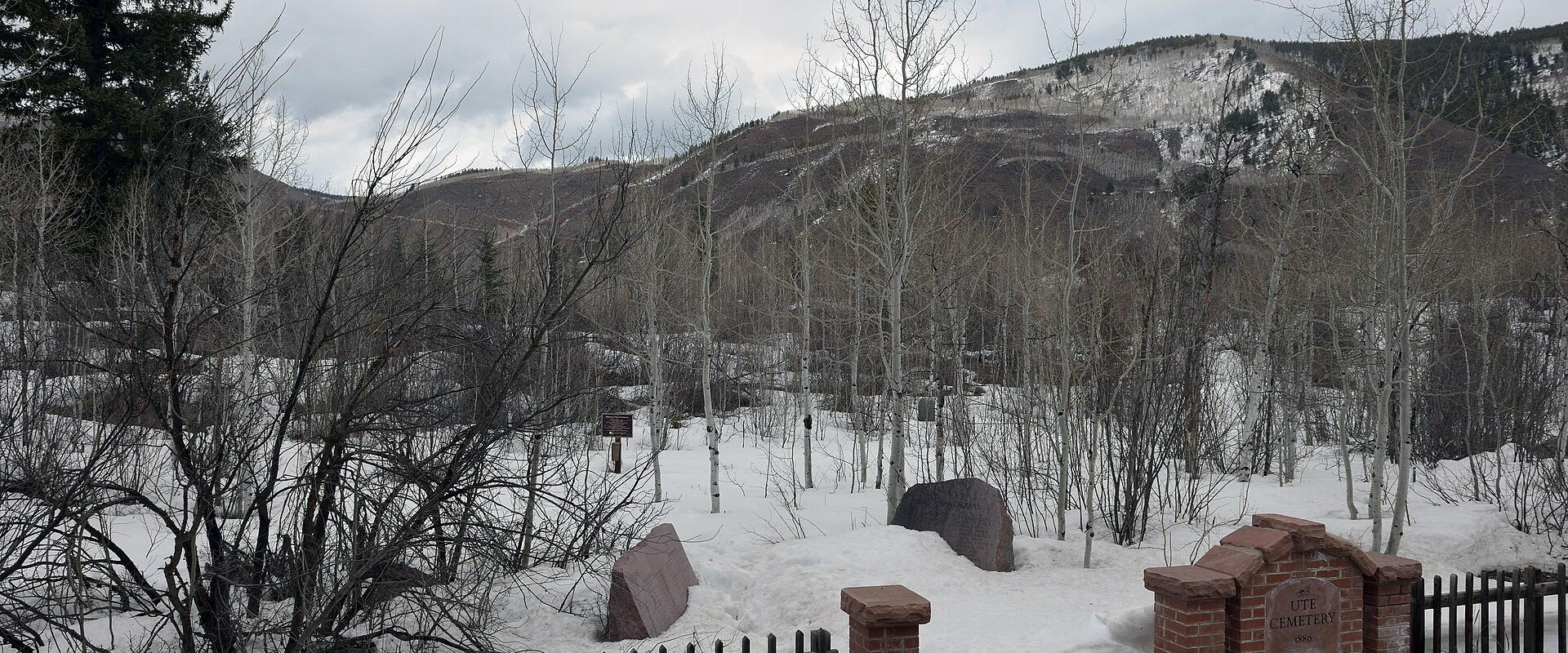 Aspen in Winter