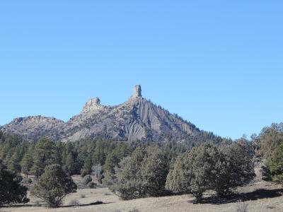 A landscape photograph showing a prominent, tall, isolated rock spire (chimney) atop a mesa, surrounded by a forest of coniferous trees under a clear blue sky.