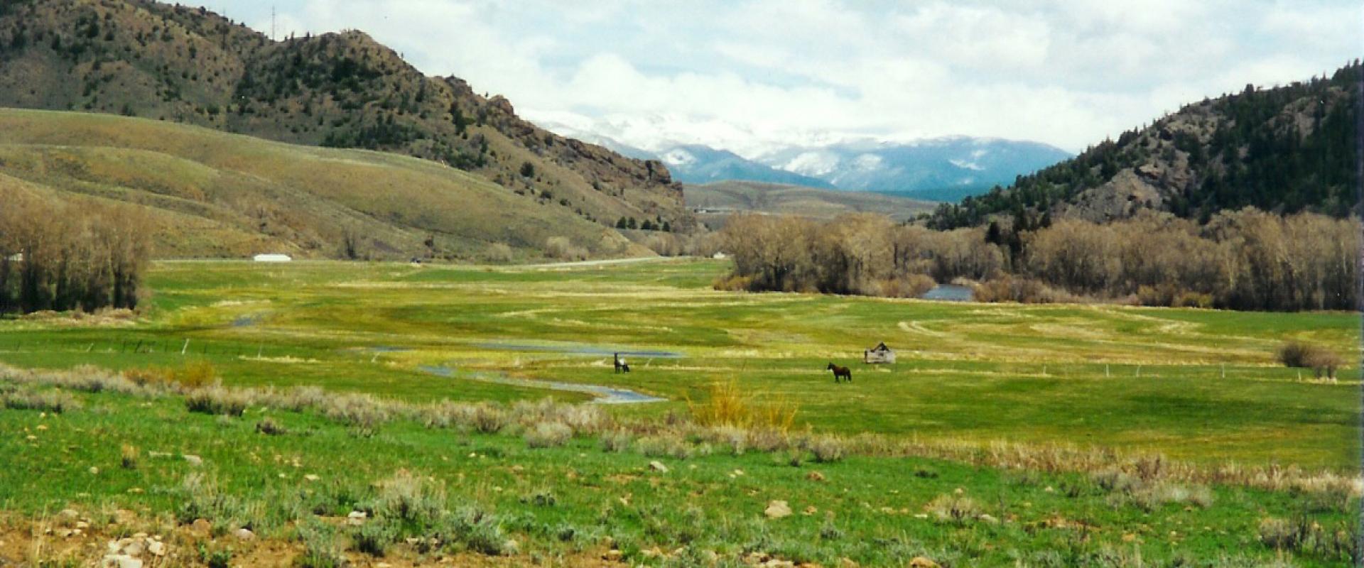 A landscape photograph showing a grassy valley with a small stream, horses, and distant snow-capped mountains under a cloudy sky.