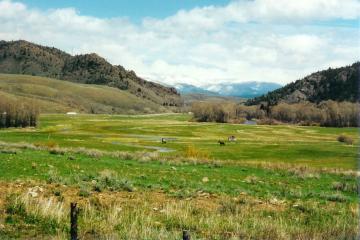 Natural Landscapes in Breckenridge