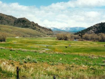 Natural Landscapes