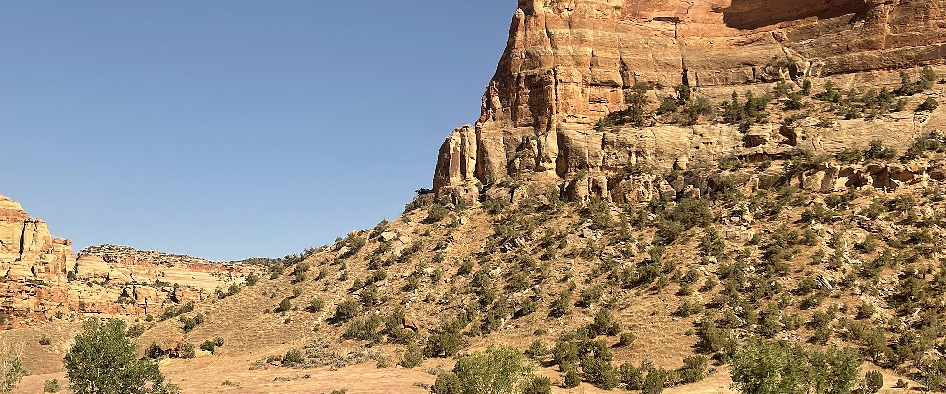 A view of a muddy river flowing through a canyon with steep, layered red rock cliffs and sparse green vegetation along the banks under a clear blue sky.
