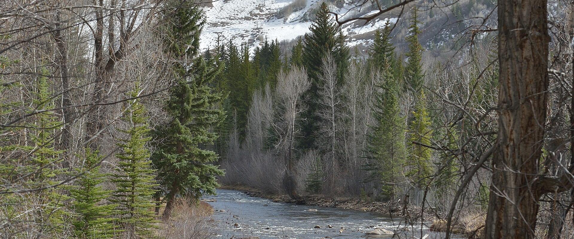 Winter in the Rockies