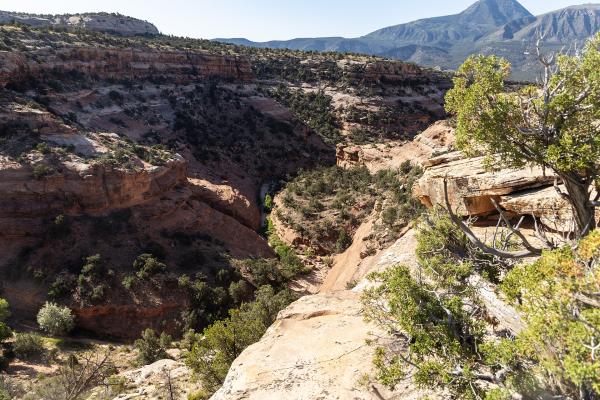 Canyons of the Ancients National Monument